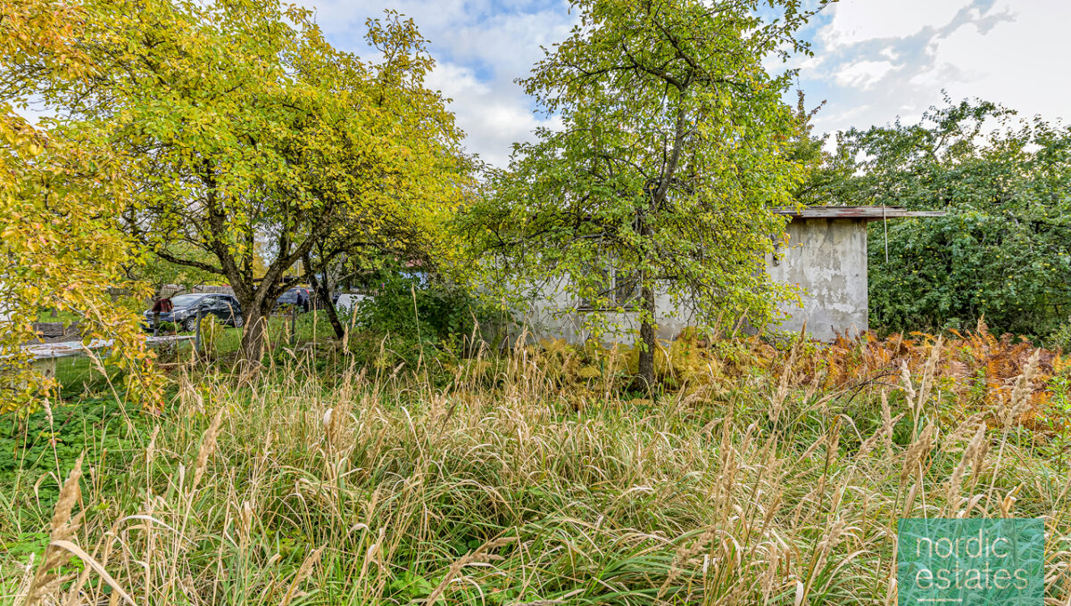 NZ6_8170_ENF