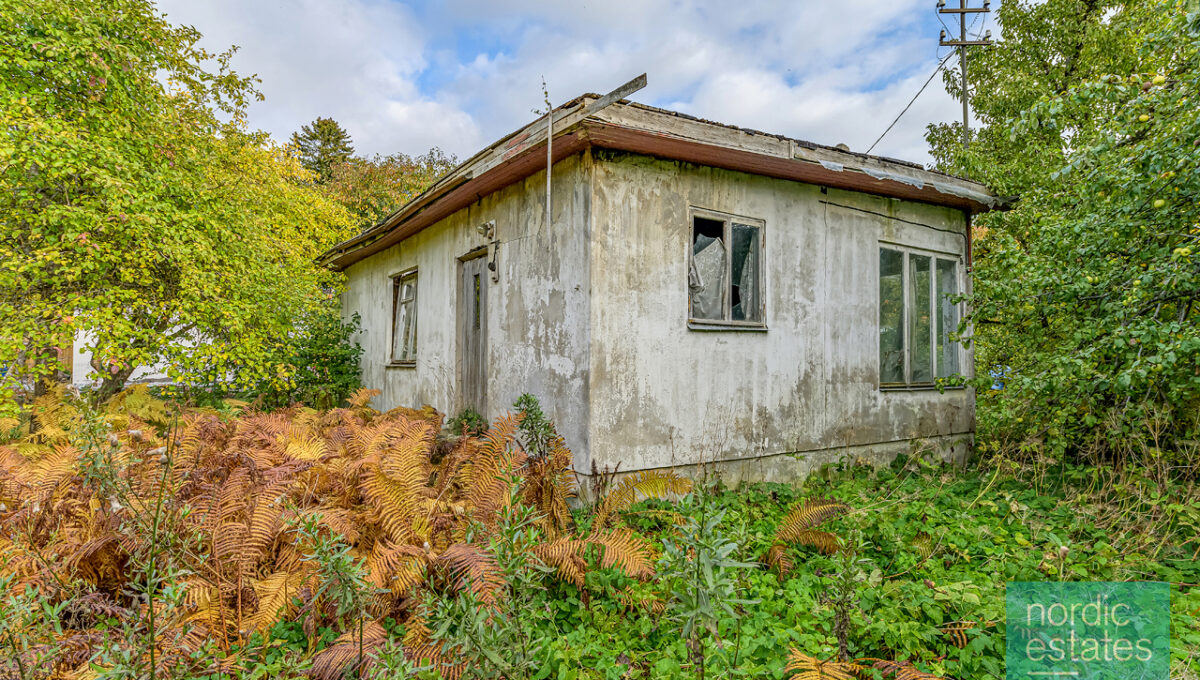 NZ6_8172_ENF