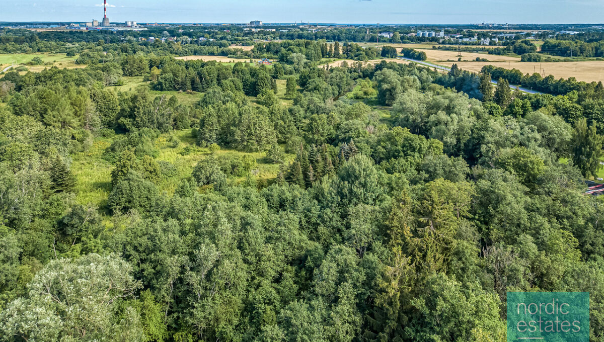 DJI_0121_ENF