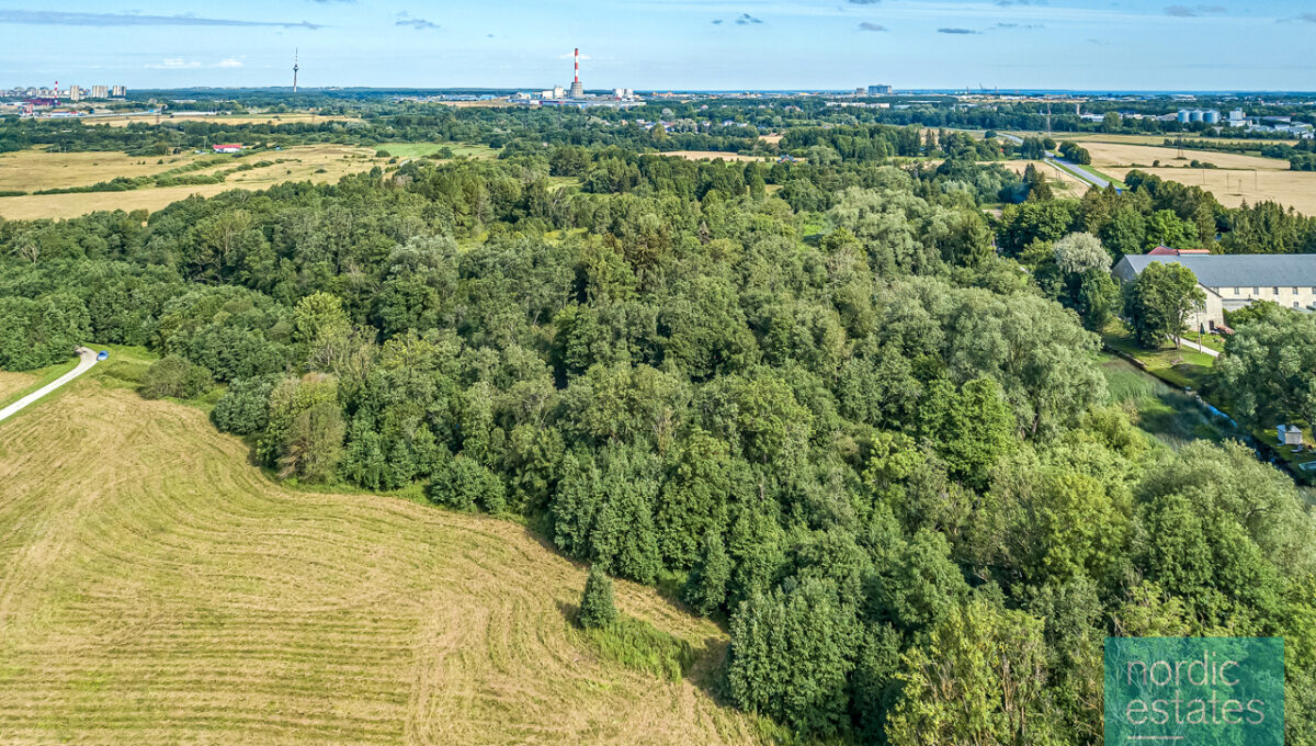 DJI_0128_ENF