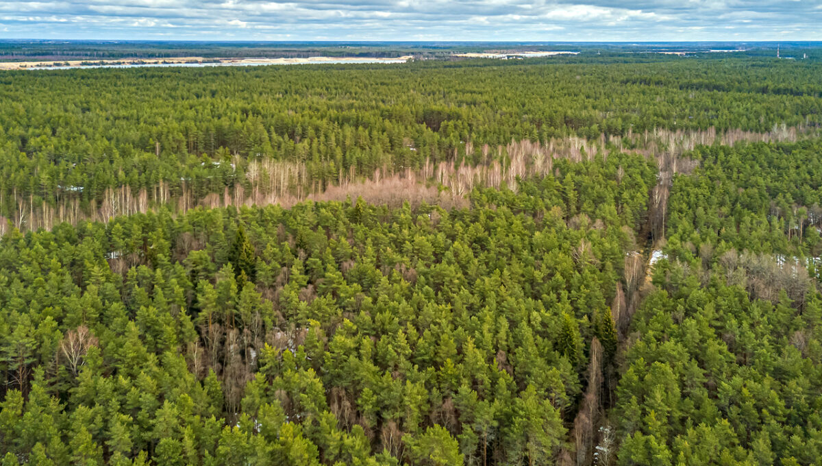 DJI_0198_ENF