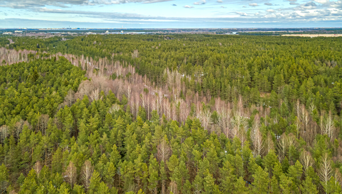 DJI_0203_ENF