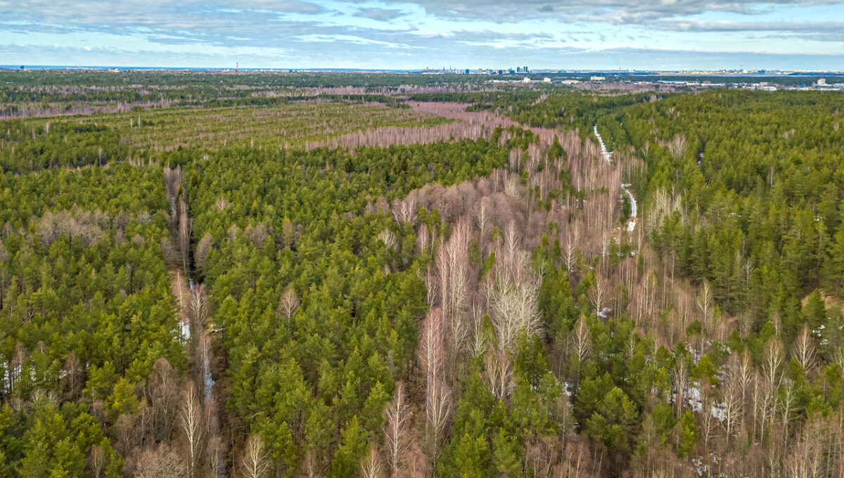 DJI_0205_ENF