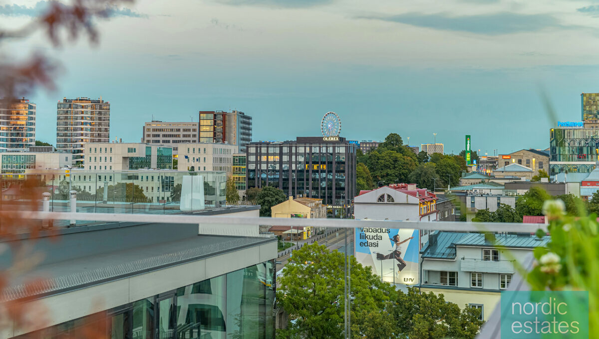 NZ6_2054_ENF