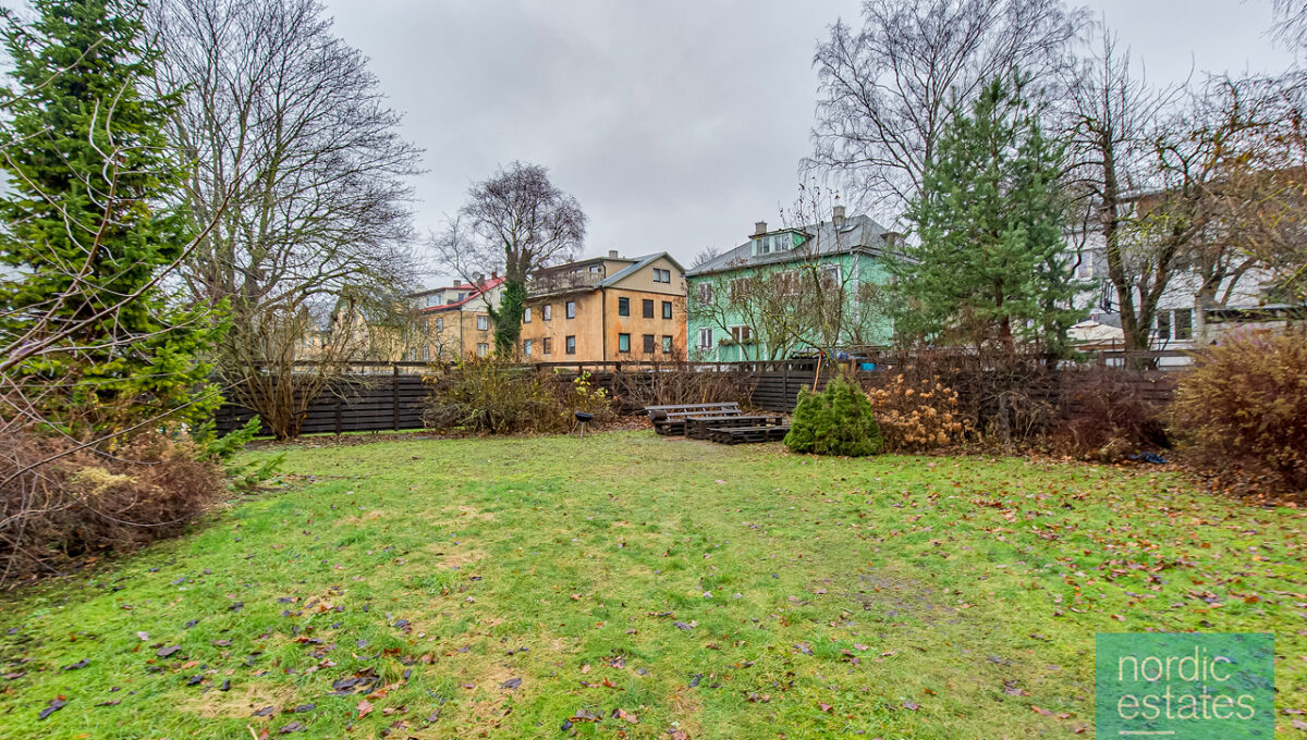 DSC_2699_ENF
