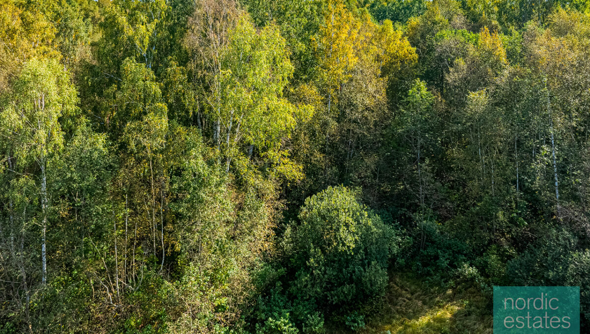 DJI_0078_ENF